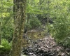 816 Sugar Run Road, Elkins, West Virginia 26241, ,Lots/land,For Sale,Sugar Run,10160376