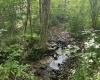 816 Sugar Run Road, Elkins, West Virginia 26241, ,Lots/land,For Sale,Sugar Run,10160376