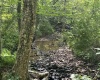 816 Sugar Run Road, Elkins, West Virginia 26241, ,Lots/land,For Sale,Sugar Run,10160376