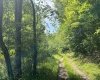 816 Sugar Run Road, Elkins, West Virginia 26241, ,Lots/land,For Sale,Sugar Run,10160376
