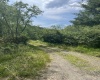 816 Sugar Run Road, Elkins, West Virginia 26241, ,Lots/land,For Sale,Sugar Run,10160376