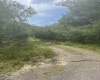 816 Sugar Run Road, Elkins, West Virginia 26241, ,Lots/land,For Sale,Sugar Run,10160376