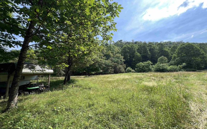 816 Sugar Run Road, Elkins, West Virginia 26241, ,Lots/land,For Sale,Sugar Run,10160376
