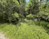 816 Sugar Run Road, Elkins, West Virginia 26241, ,Lots/land,For Sale,Sugar Run,10160376
