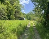816 Sugar Run Road, Elkins, West Virginia 26241, ,Lots/land,For Sale,Sugar Run,10160376