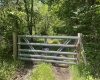 816 Sugar Run Road, Elkins, West Virginia 26241, ,Lots/land,For Sale,Sugar Run,10160376