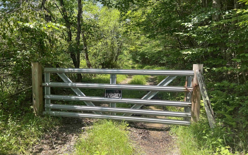 816 Sugar Run Road, Elkins, West Virginia 26241, ,Lots/land,For Sale,Sugar Run,10160376