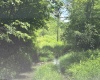 816 Sugar Run Road, Elkins, West Virginia 26241, ,Lots/land,For Sale,Sugar Run,10160376