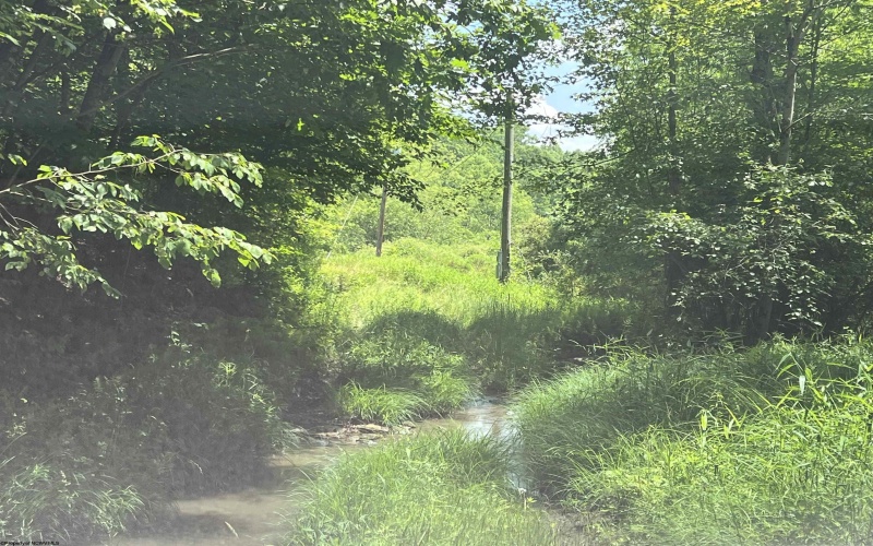 816 Sugar Run Road, Elkins, West Virginia 26241, ,Lots/land,For Sale,Sugar Run,10160376