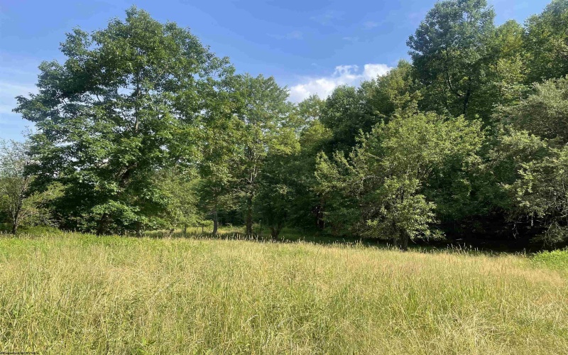 816 Sugar Run Road, Elkins, West Virginia 26241, ,Lots/land,For Sale,Sugar Run,10160376