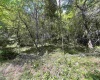 816 Sugar Run Road, Elkins, West Virginia 26241, ,Lots/land,For Sale,Sugar Run,10160376