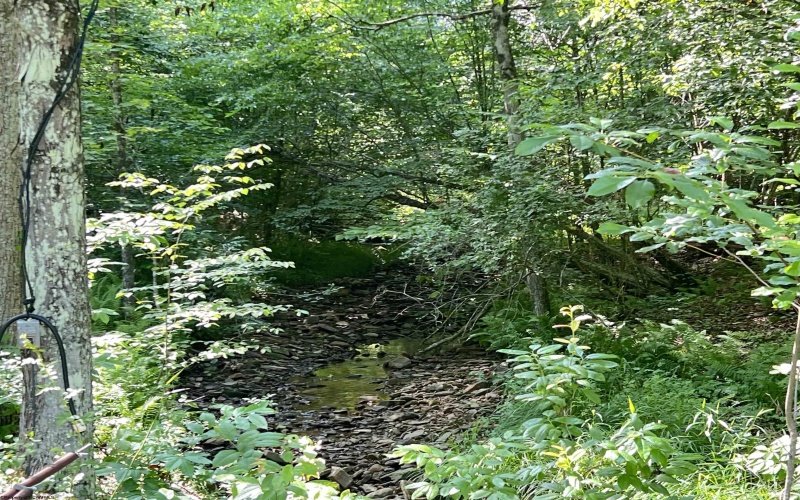 816 Sugar Run Road, Elkins, West Virginia 26241, ,Lots/land,For Sale,Sugar Run,10160376