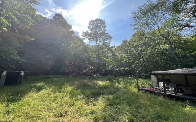 816 Sugar Run Road, Elkins, West Virginia 26241, ,Lots/land,For Sale,Sugar Run,10160376