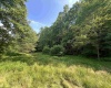816 Sugar Run Road, Elkins, West Virginia 26241, ,Lots/land,For Sale,Sugar Run,10160376