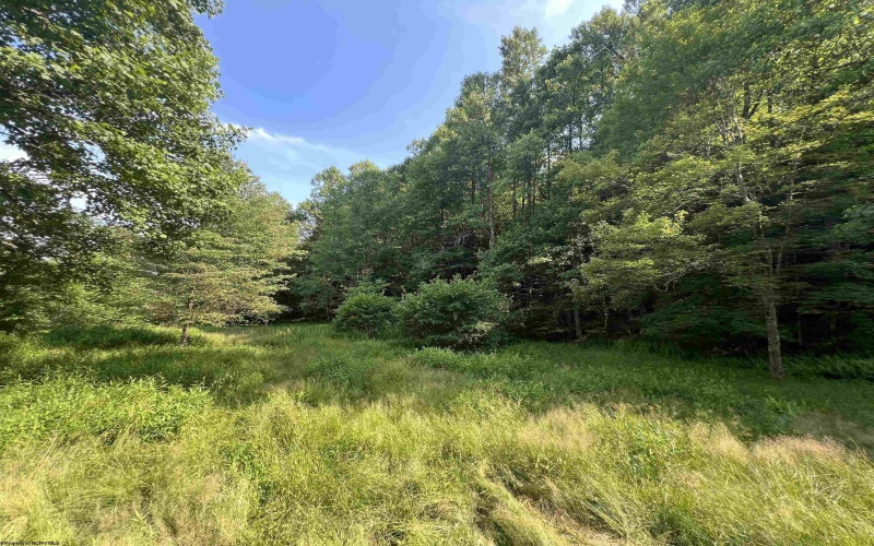 816 Sugar Run Road, Elkins, West Virginia 26241, ,Lots/land,For Sale,Sugar Run,10160376