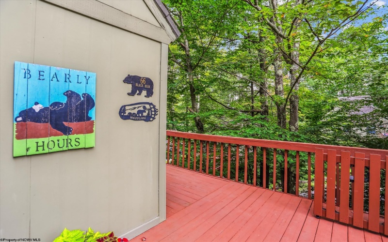 115 Grizzly Way, Davis, West Virginia 26260, 2 Bedrooms Bedrooms, 4 Rooms Rooms,2 BathroomsBathrooms,Single Family Detached,For Sale,Grizzly,10160986