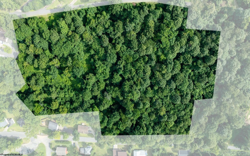 0 Cooper Street, Morgantown, West Virginia 26505, ,Lots/land,For Sale,Cooper,10160996