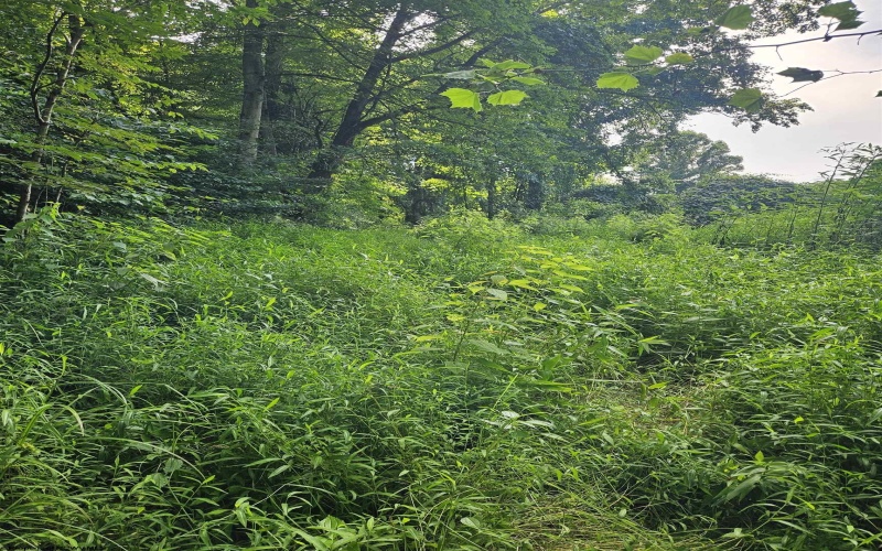 0 Cooper Street, Morgantown, West Virginia 26505, ,Lots/land,For Sale,Cooper,10160996