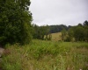 712 Brushy Fork Road, Buckhannon, West Virginia 26201, ,Lots/land,For Sale,Brushy Fork,10161014