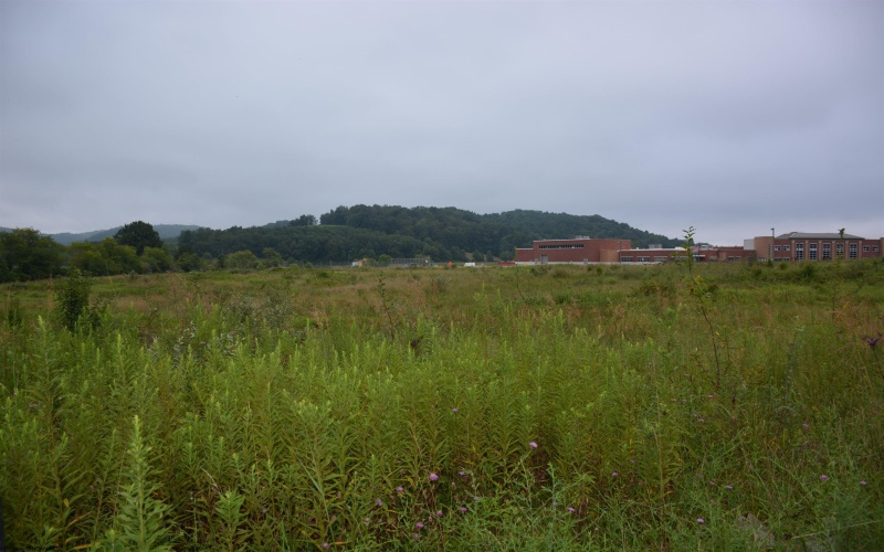 TBD Brushy Fork Road, Buckhannon, West Virginia 26201, ,Lots/land,For Sale,Brushy Fork,10161015