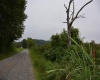 TBD Brushy Fork Road, Buckhannon, West Virginia 26201, ,Lots/land,For Sale,Brushy Fork,10161015