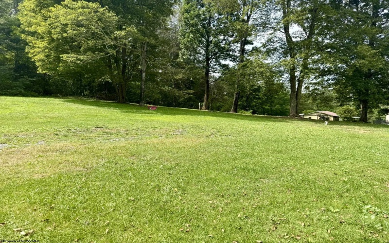 349 Mankins Addition Road, Tunnelton, West Virginia 26444, 3 Bedrooms Bedrooms, 6 Rooms Rooms,2 BathroomsBathrooms,Single Family Detached,For Sale,Mankins Addition,10161045