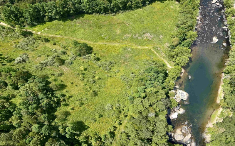 TBD Blue Ridge Road, Belington, West Virginia 26405, ,Lots/land,For Sale,Blue Ridge,10161043