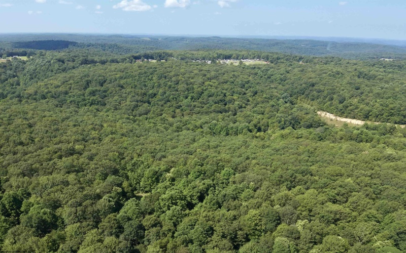 TBD Blue Ridge Road, Belington, West Virginia 26405, ,Lots/land,For Sale,Blue Ridge,10161043