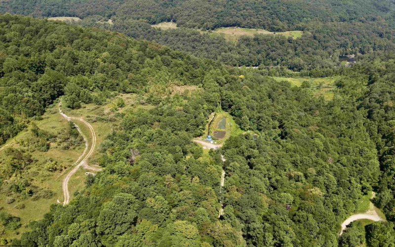 TBD Blue Ridge Road, Belington, West Virginia 26405, ,Lots/land,For Sale,Blue Ridge,10161043