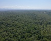 TBD Blue Ridge Road, Belington, West Virginia 26405, ,Lots/land,For Sale,Blue Ridge,10161043