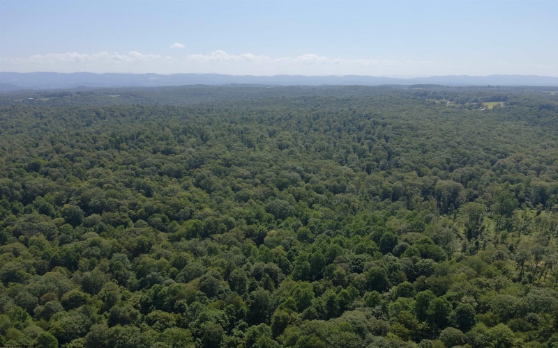 TBD Blue Ridge Road, Belington, West Virginia 26405, ,Lots/land,For Sale,Blue Ridge,10161043
