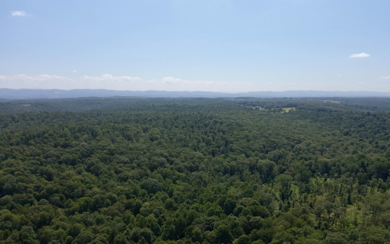 TBD Blue Ridge Road, Belington, West Virginia 26405, ,Lots/land,For Sale,Blue Ridge,10161043