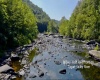 TBD Blue Ridge Road, Belington, West Virginia 26405, ,Lots/land,For Sale,Blue Ridge,10161043