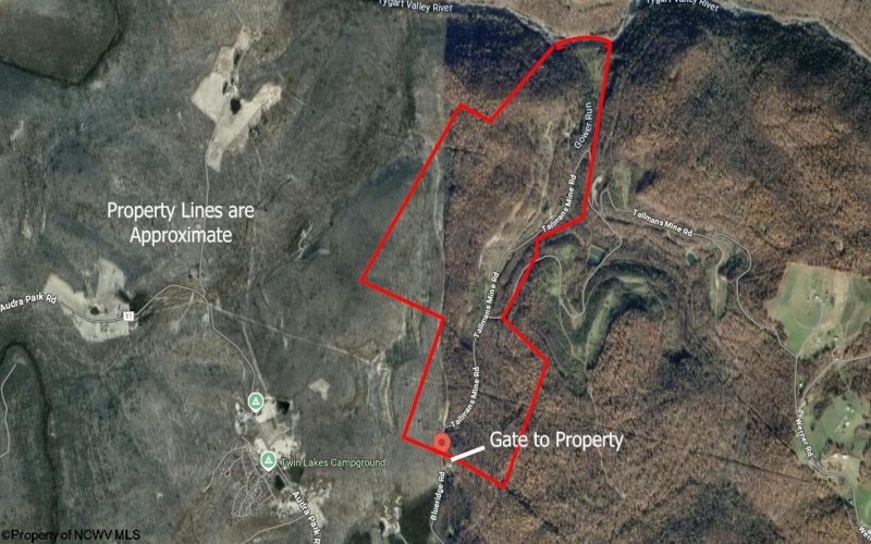 TBD Blue Ridge Road, Belington, West Virginia 26405, ,Lots/land,For Sale,Blue Ridge,10161043