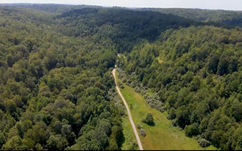 TBD Blue Ridge Road, Belington, West Virginia 26405, ,Lots/land,For Sale,Blue Ridge,10161043