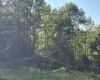 3840 Canaan Road, Rock Cave, West Virginia 26234, ,Lots/land,For Sale,Canaan,10161046