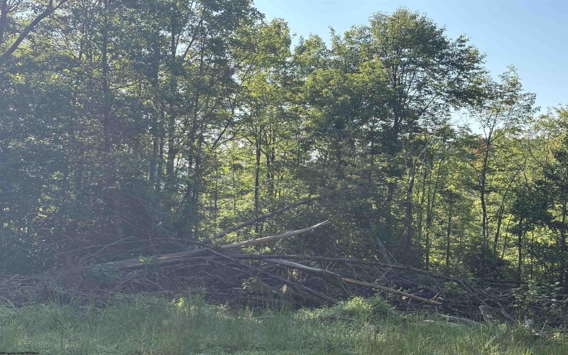 3840 Canaan Road, Rock Cave, West Virginia 26234, ,Lots/land,For Sale,Canaan,10161046
