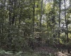 3840 Canaan Road, Rock Cave, West Virginia 26234, ,Lots/land,For Sale,Canaan,10161046