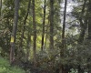 3840 Canaan Road, Rock Cave, West Virginia 26234, ,Lots/land,For Sale,Canaan,10161046