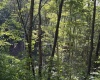 3840 Canaan Road, Rock Cave, West Virginia 26234, ,Lots/land,For Sale,Canaan,10161046