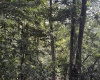 3840 Canaan Road, Rock Cave, West Virginia 26234, ,Lots/land,For Sale,Canaan,10161046
