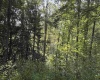 3840 Canaan Road, Rock Cave, West Virginia 26234, ,Lots/land,For Sale,Canaan,10161046