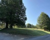 39 Canaan Road, Rock Cave, West Virginia 26234, ,Lots/land,For Sale,Canaan,10161047