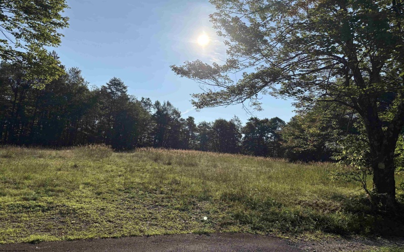 39 Canaan Road, Rock Cave, West Virginia 26234, ,Lots/land,For Sale,Canaan,10161047