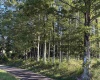 39 Canaan Road, Rock Cave, West Virginia 26234, ,Lots/land,For Sale,Canaan,10161047