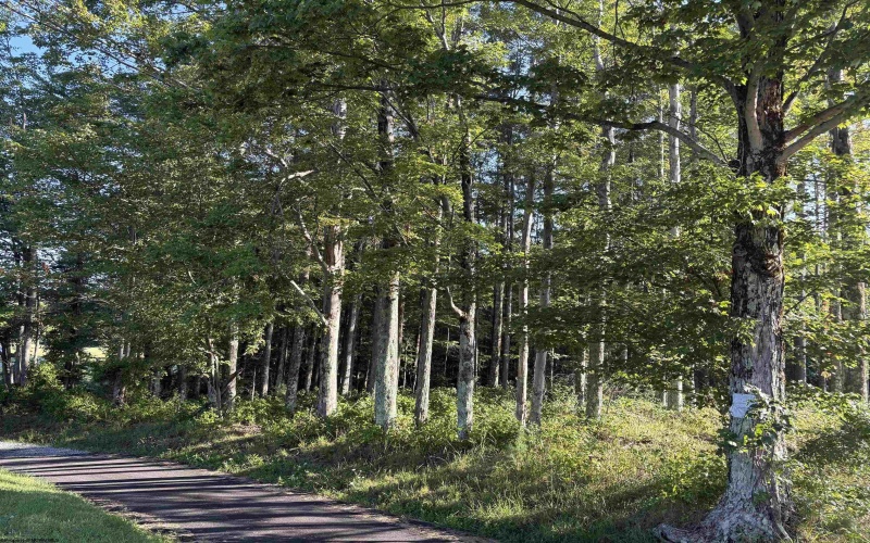 39 Canaan Road, Rock Cave, West Virginia 26234, ,Lots/land,For Sale,Canaan,10161047