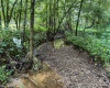 TBD Comanche Drive, Wallace, West Virginia 26448, ,Lots/land,For Sale,Comanche,10161049