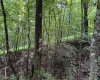 TBD Comanche Drive, Wallace, West Virginia 26448, ,Lots/land,For Sale,Comanche,10161049