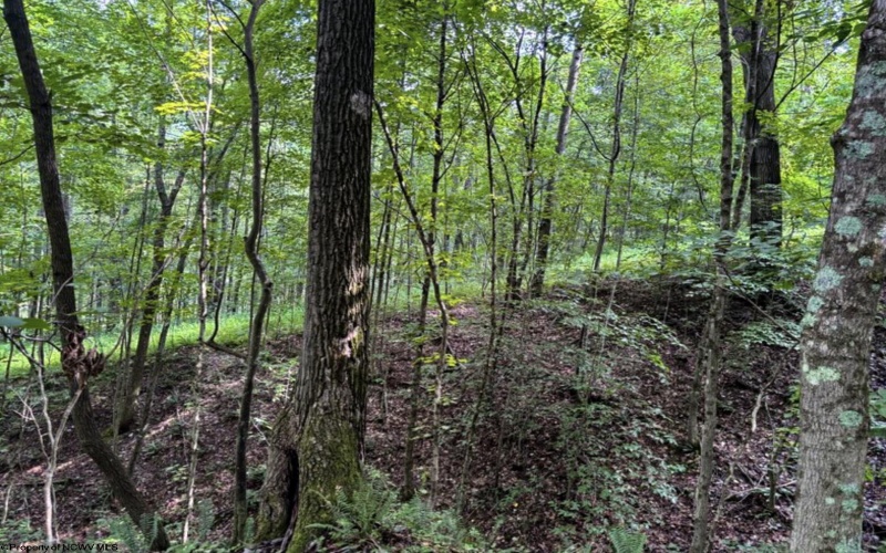 TBD Comanche Drive, Wallace, West Virginia 26448, ,Lots/land,For Sale,Comanche,10161049