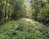 TBD Comanche Drive, Wallace, West Virginia 26448, ,Lots/land,For Sale,Comanche,10161049